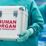 Президент подписал закон о трансплантации: бесплатно для пациентов, но выбор донора — «вслепую»
