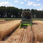 Занизил цену на пшеницу: В Запорожской области полиция сообщила директору госпредприятия о подозрении в злоупотреблении служебным положением
