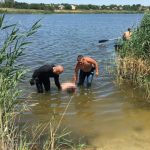 В Никопольском районе водолазы достали из воды тело мужчины, утонувшего 30 июня