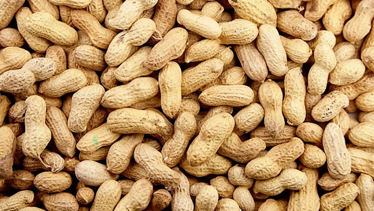 В Україну завезли арахіс з Египту який сприяє появі раку печінки